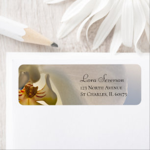 White Orchid Elegance Return Address