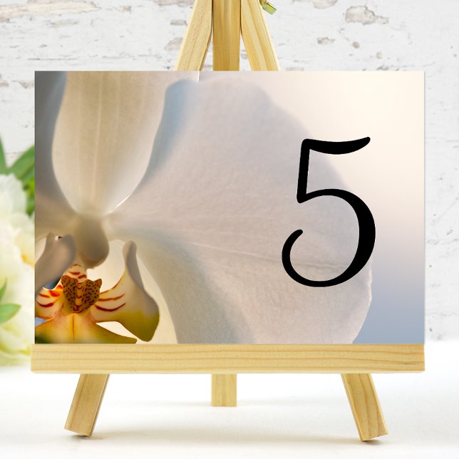 White Orchid Elegance Table Numbers (Creator Uploaded)
