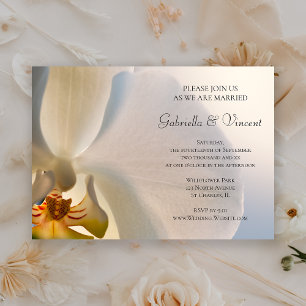 White Orchid Elegance Wedding Invitation