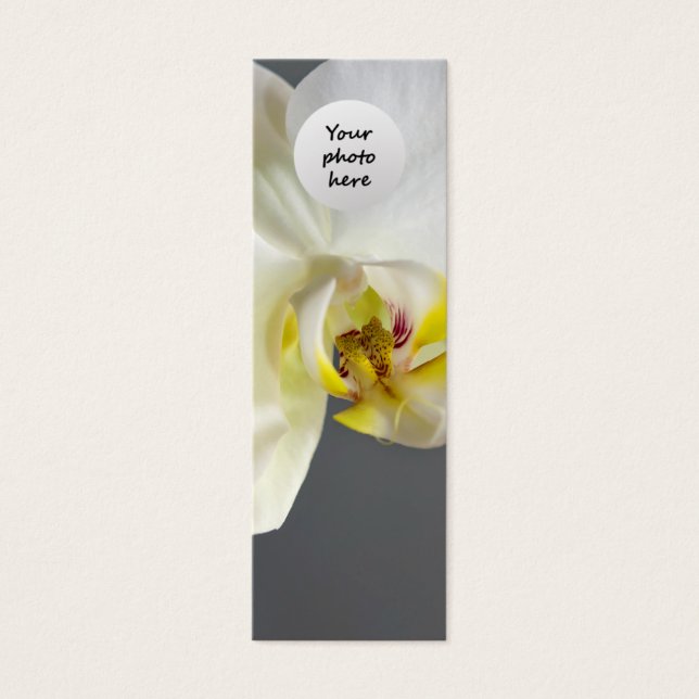 White Orchid Flower (Front)
