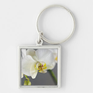 White Orchid Flower Key Ring