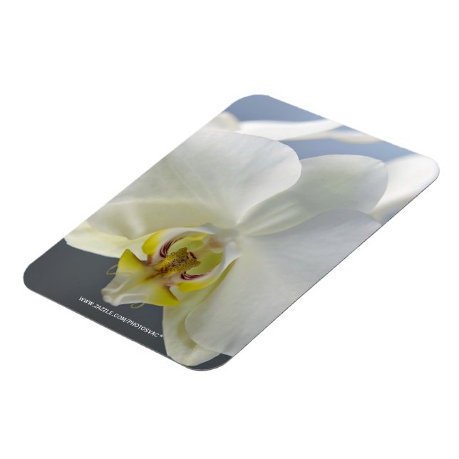 White Orchid Flower Magnet (Left Side)