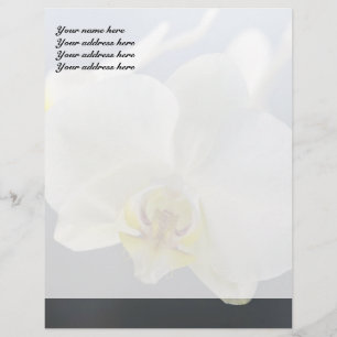 White Orchid Flower Personalized Letterhead