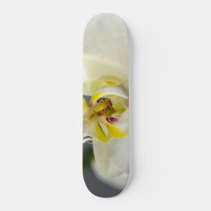 White Orchid Flower Skateboard