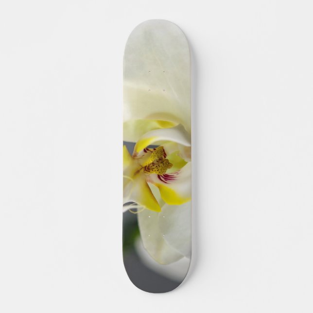 White Orchid Flower Skateboard (Front)
