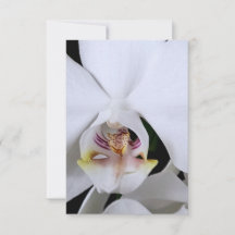 White orchid flower thank you card