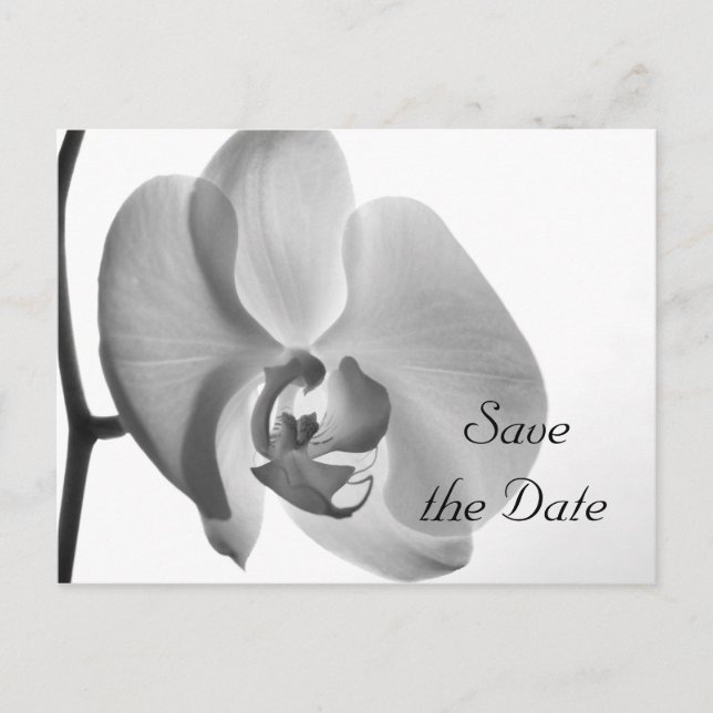 White Orchid Flower Wedding Save the Date Announcement Postcard (Front)