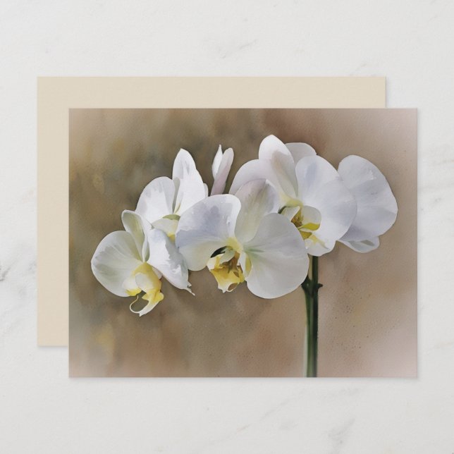 White Orchid Flowers Art Note Card Set  (Front/Back)