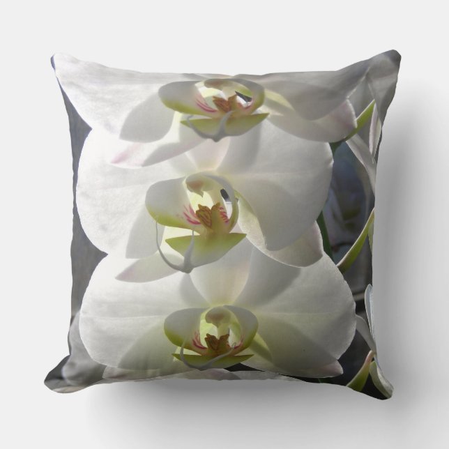 White Orchid Flowers Cushion (Front)