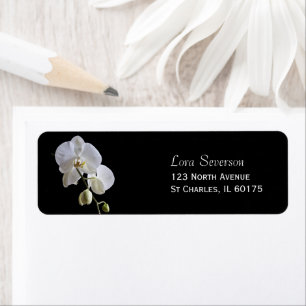 White Orchid Flowers on Black Return Address
