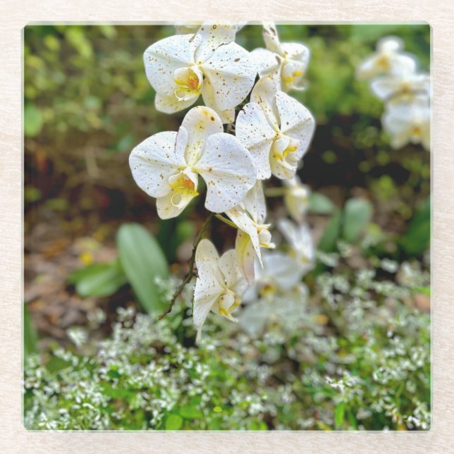 White Orchid Glass Coaster (Front)