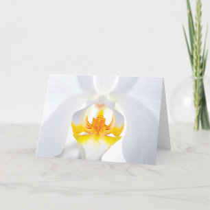 White Orchid Greeting Card