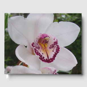White Orchid I Beautiful Tropical Flower Guest Book