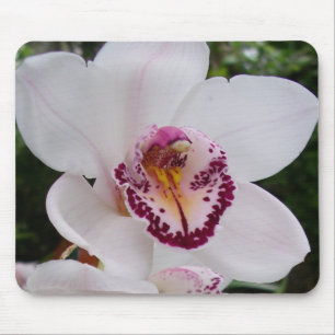White Orchid I Beautiful Tropical Flower Mouse Mat