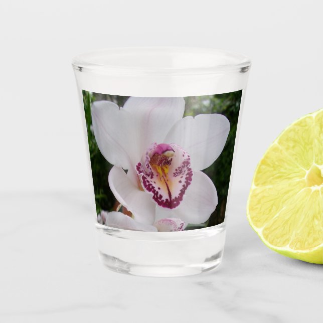 White Orchid I Beautiful Tropical Flower Shot Glass (Front)