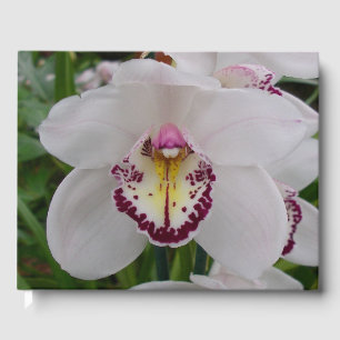 White Orchid II Beautiful Tropical Flower Guest Book