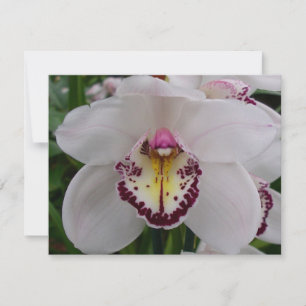 White Orchid II Elegant Floral Card