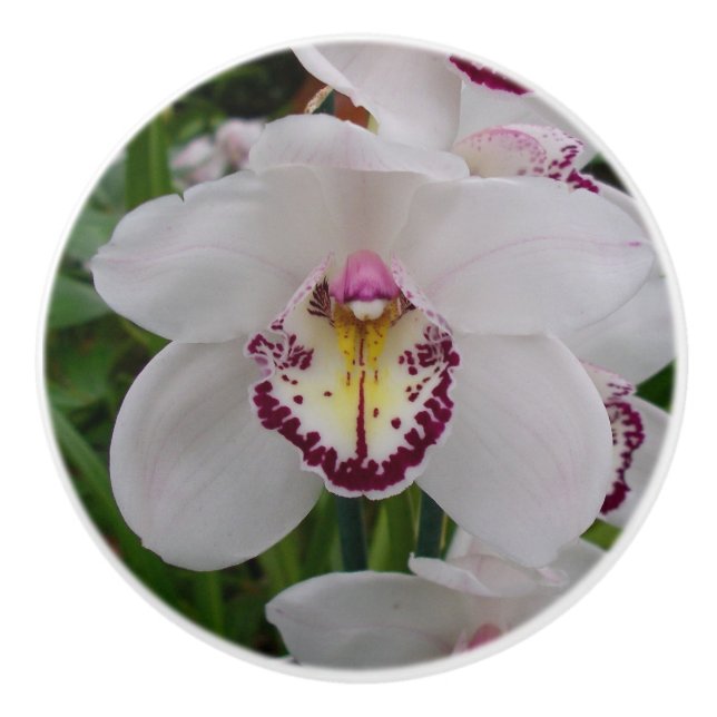 White Orchid II Elegant Floral Ceramic Knob (Front)