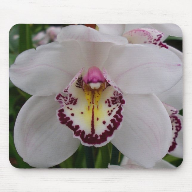 White Orchid II Elegant Floral Mouse Mat (Front)