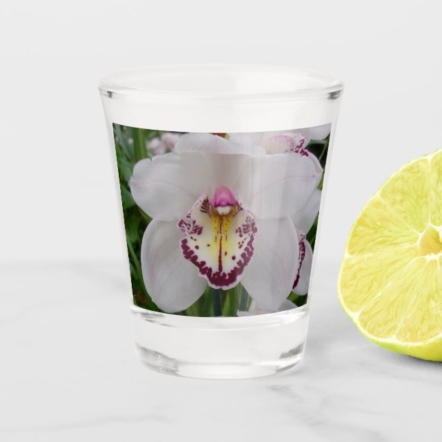 White Orchid II Elegant Floral Shot Glass (Front)