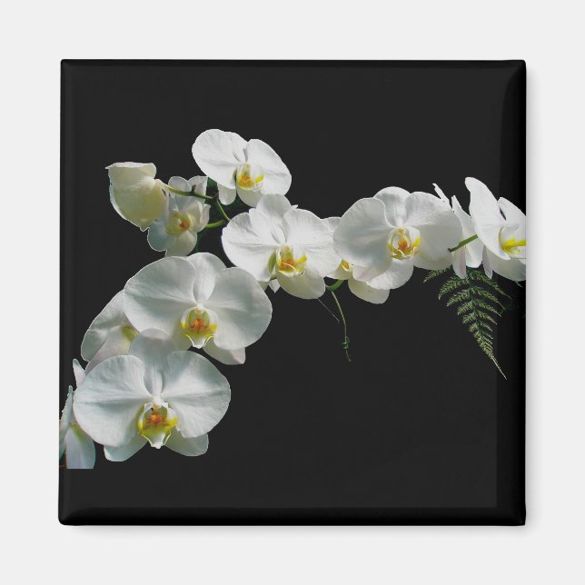 White Orchid Magnet (Front)