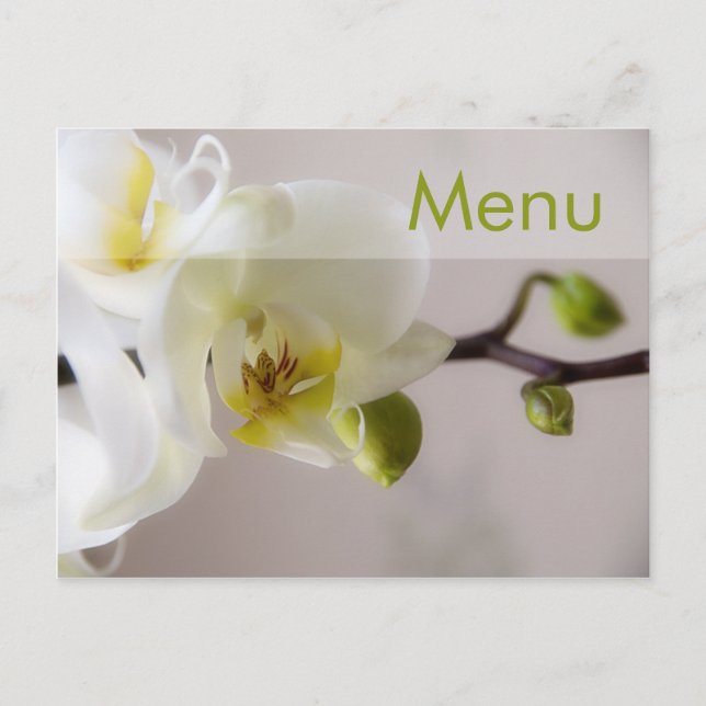 White Orchid • Menu Postcard (Front)