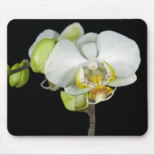 White Orchid Mouse Mat