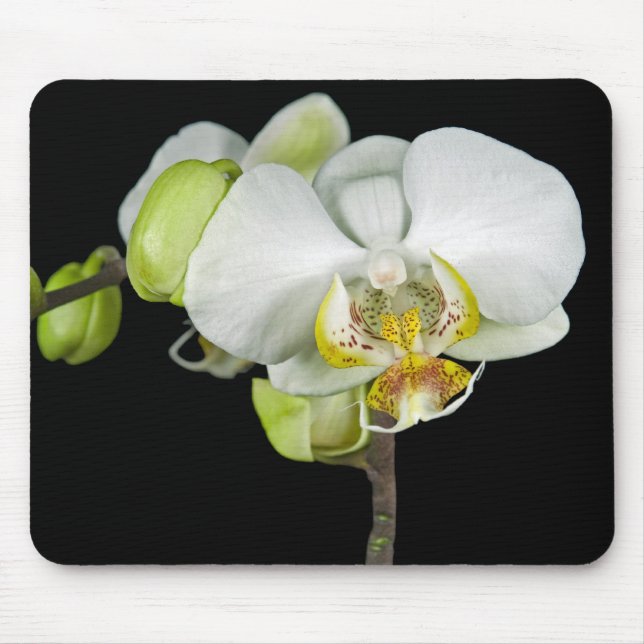 White Orchid Mouse Mat (Front)