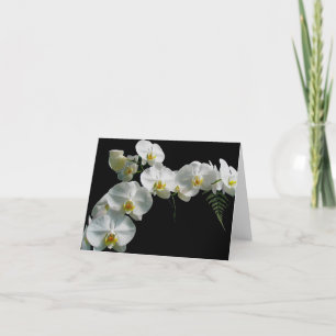 White Orchid Note Card