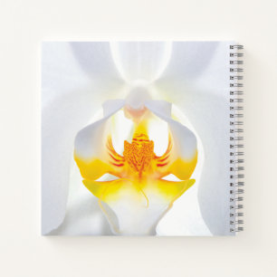 White Orchid Notebook