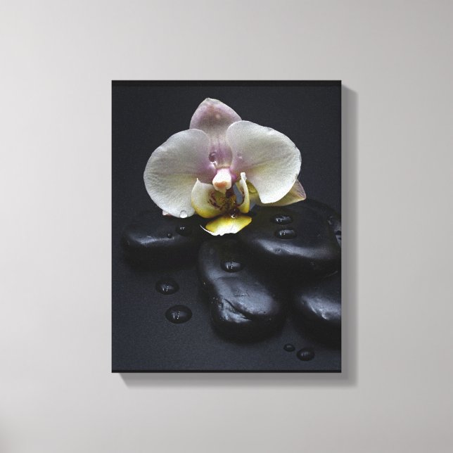White Orchid On Black Stones Canvas Print (Front)