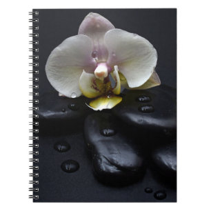 White Orchid On Black Stones Notebook