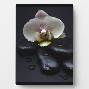 White Orchid On Black Stones Plaque
