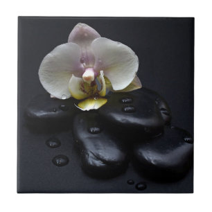 White Orchid On Black Stones Tile