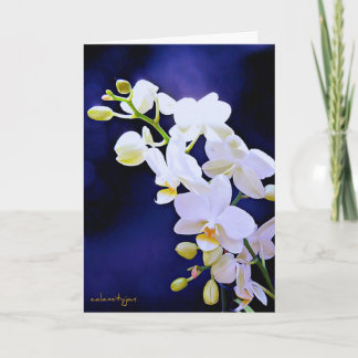 White orchid on royal blue  Birthday Card