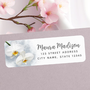 White orchid phalaenopsis flower return address