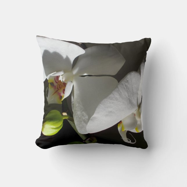 white orchid photo, tropical white floral photo cushion (Front)