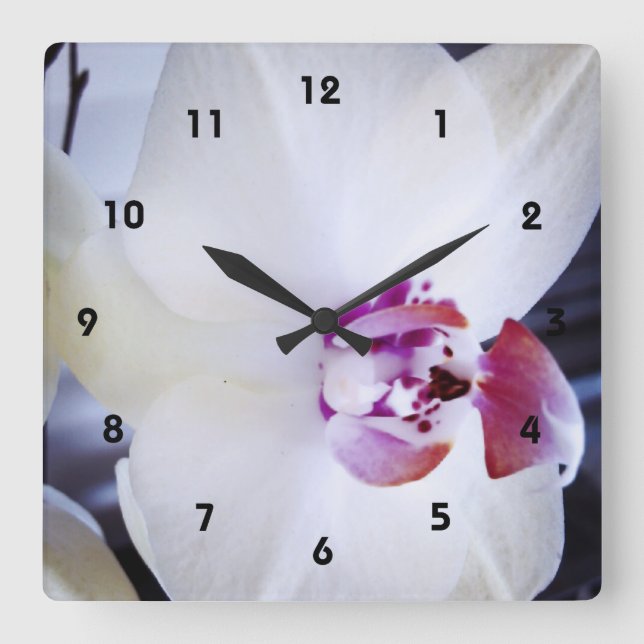 White Orchid Photograph Square Wall Clock (Front)