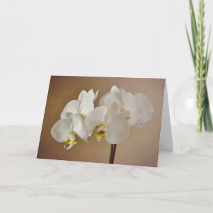 White Orchid Portrait Art Card
