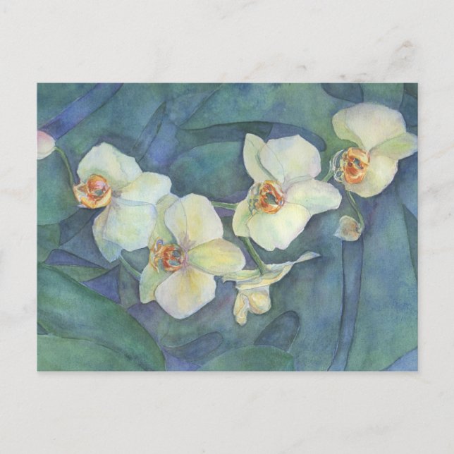 White orchid postcard (Front)