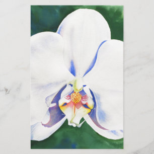 White Orchid Stationery