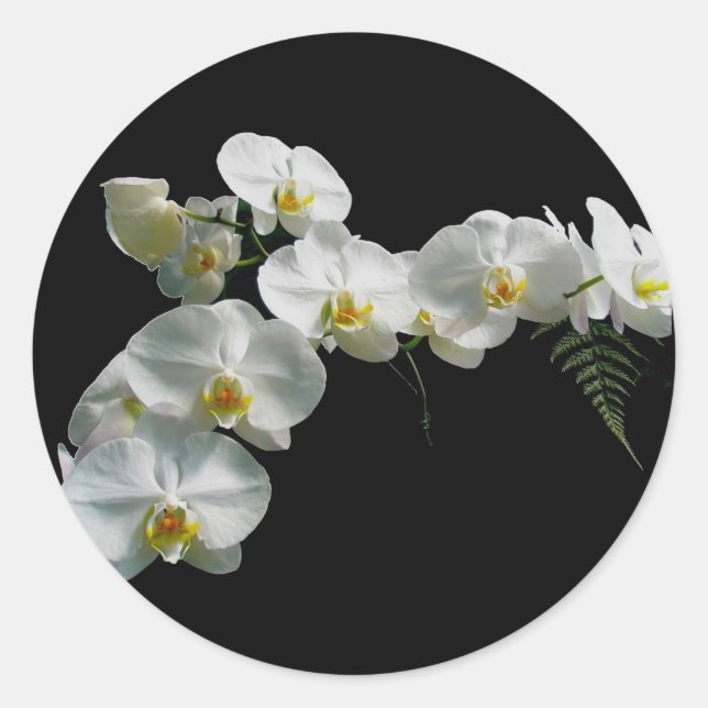 White Orchid Stickers (Front)
