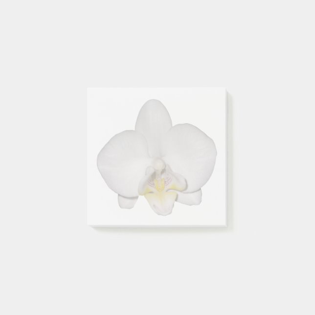 White Orchid Sticky Notes (Front)