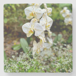 White Orchid Stone Coaster