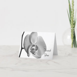 White Orchid Thank You