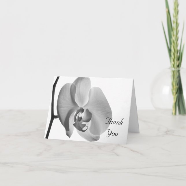 White Orchid Thank You (Front)