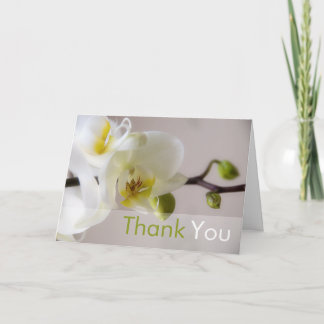 White Orchid Thank You Card
