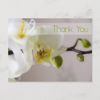 White Orchid Thank You Postcard