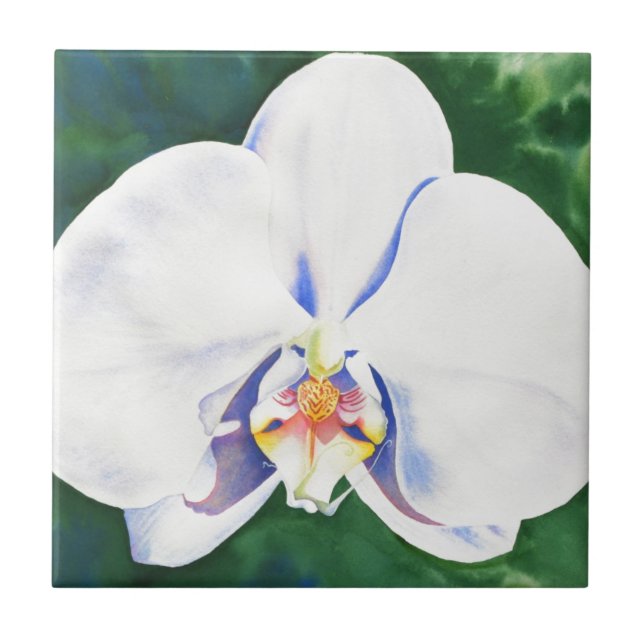 White Orchid Tile (Front)