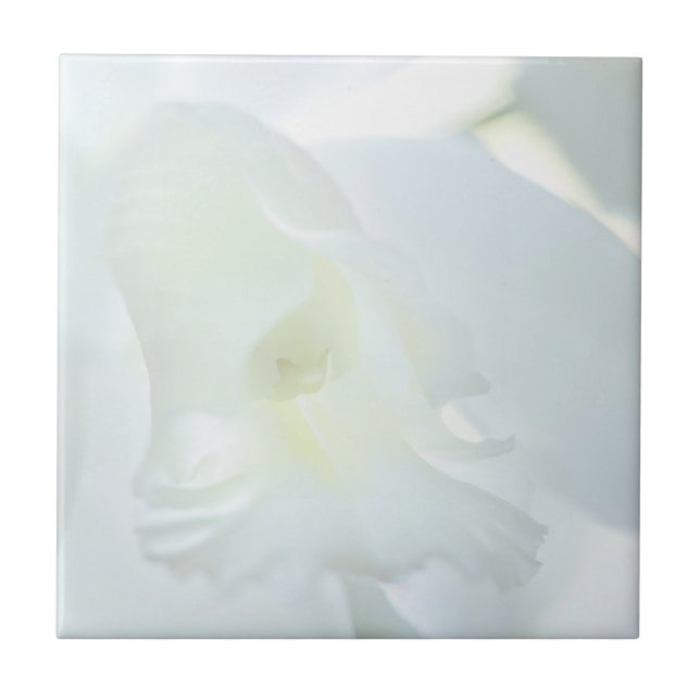 White Orchid Tile (Front)
